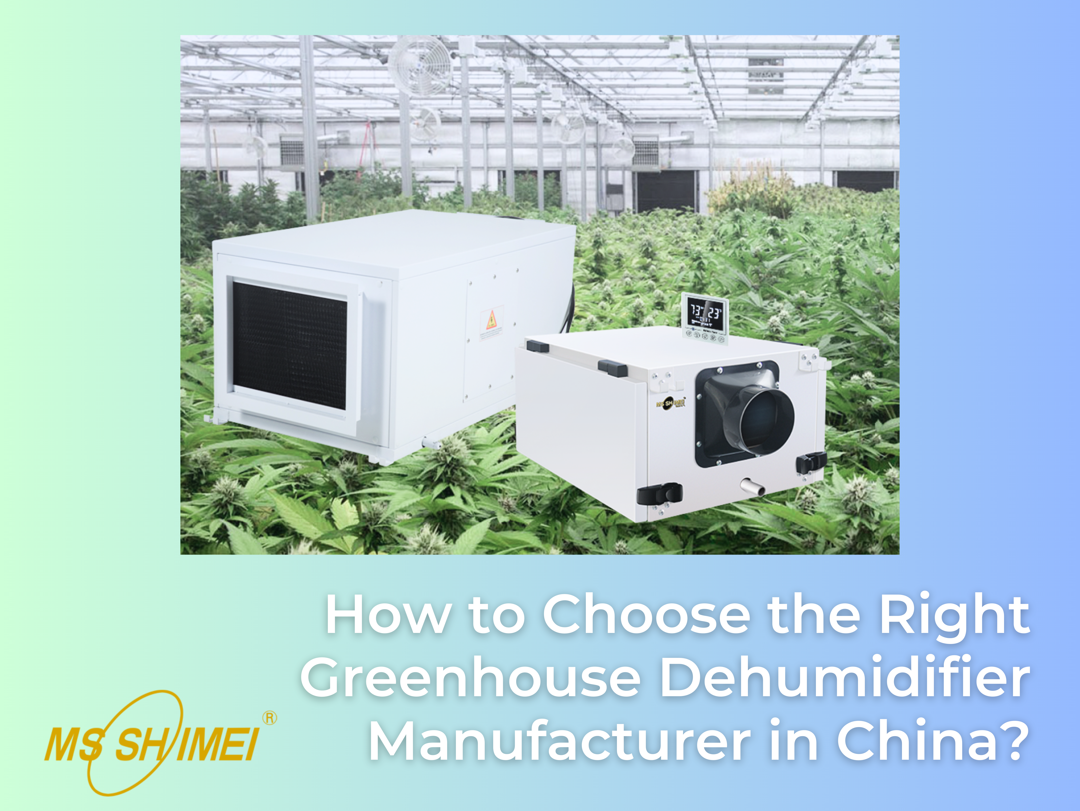 How-to-Choose-the-Right-Greenhouse-Dehumidifier-Manufacturer-in-China